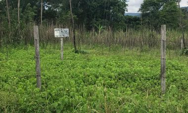 Venta De Terreno En La Banda De Shilcayo - Tarapoto 560 M²