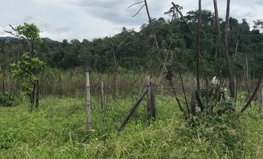 Venta De Terreno En La Banda De Shilcayo - Tarapoto 560 M²
