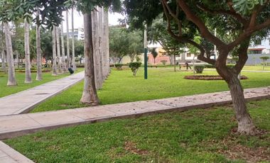 ALQUILO DEPARTAMENTO U OFICINA EN SURCO