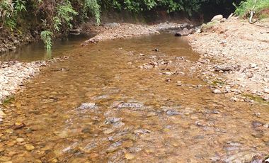 BONITAS FINCAS DE 1 HA EN PEDRO VICENTE MALDONADO - ESCRITURAS AL DÍA.