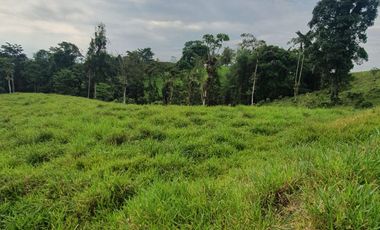 BONITAS FINCAS DE 1 HA EN PEDRO VICENTE MALDONADO - ESCRITURAS AL DÍA.