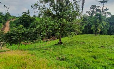 BONITAS FINCAS DE 1 HA EN PEDRO VICENTE MALDONADO - ESCRITURAS AL DÍA.