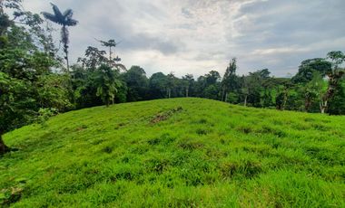 BONITAS FINCAS DE 1 HA EN PEDRO VICENTE MALDONADO - ESCRITURAS AL DÍA.