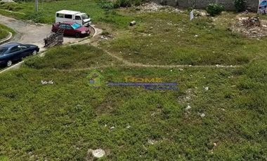 FOR LEASE: COMMERCIAL LOT IN STO. TOMAS, BATANGAS