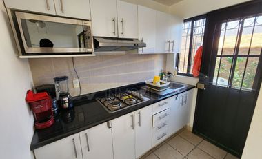 Casa, Morelos, Oacalco, Palma Real