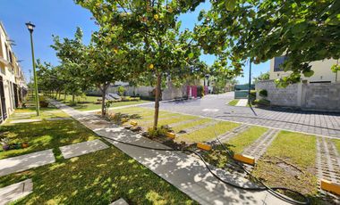 Casa, Morelos, Oacalco, Palma Real