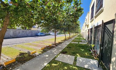 Casa, Morelos, Oacalco, Palma Real