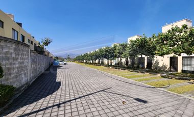 Casa, Morelos, Oacalco, Palma Real