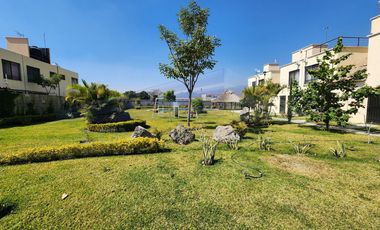 Casa, Morelos, Oacalco, Palma Real