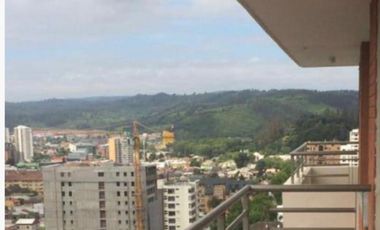 Arriendo Excelente Amoblado departamento dos dormitorios