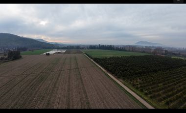 Parcela Agrícola Paine