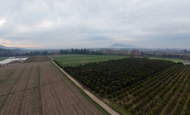 Parcela Agrícola Paine