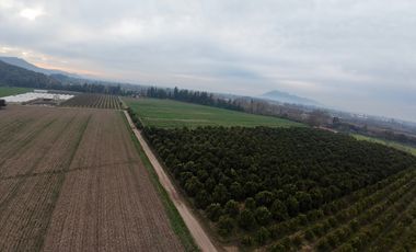 Parcela Agrícola Paine