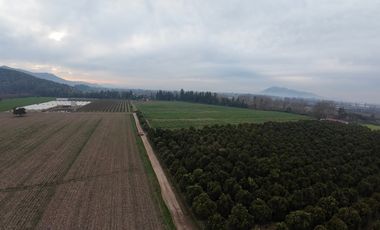 Parcela Agrícola Paine