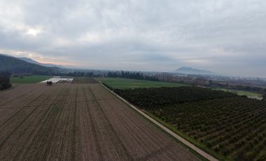 Parcela Agrícola Paine