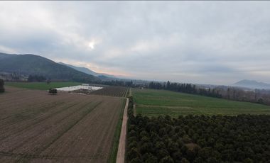 Parcela Agrícola Paine