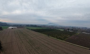 Parcela Agrícola Paine