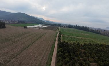 Parcela Agrícola Paine