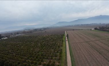 Parcela Agrícola Paine