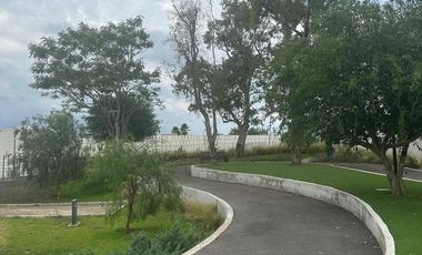 TERRENO EN VENTA EN SOLARES