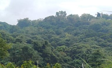 MANDALA 1 TIMBERLAND HEIGHTS LOT FOR SALE