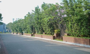 Cash Tempo, 5 Menit JCM, Rumah Posisi Hook