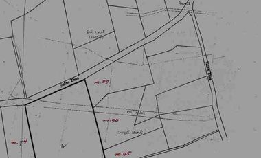 DIJUAL CEPAT!!! KEBUN JERUK DI DAU DEKAT BEDENGAN BENTUK KOTAK POROS JL ASPAL