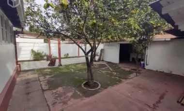 Rancagua, Sector El Tenis, Central