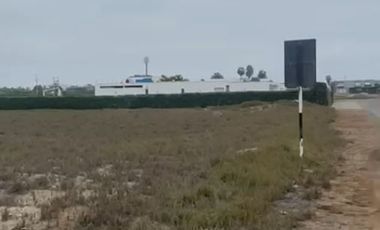 VENDO TERRENO 1000M2 EN  PLAYA EL GOLF, ASIA - CAÑETE