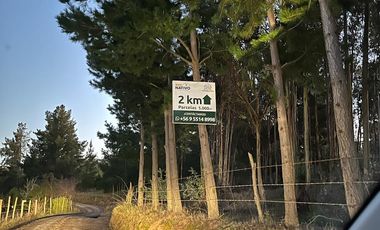 SE VENDE PARCELA DE SECTOR TOMECO, YUMBEL REGIÓN BIO-BIO