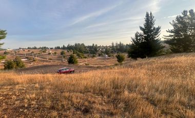 SE VENDE PARCELA DE SECTOR TOMECO, YUMBEL REGIÓN BIO-BIO