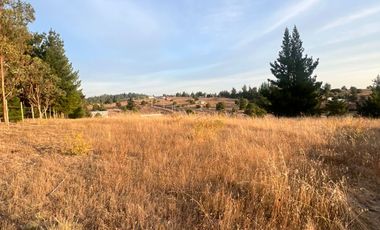 SE VENDE PARCELA DE SECTOR TOMECO, YUMBEL REGIÓN BIO-BIO