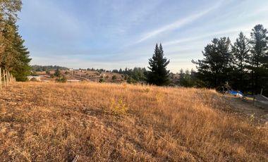 SE VENDE PARCELA DE SECTOR TOMECO, YUMBEL REGIÓN BIO-BIO