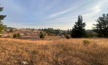 SE VENDE PARCELA DE SECTOR TOMECO, YUMBEL REGIÓN BIO-BIO