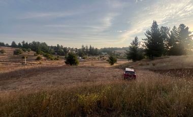 SE VENDE PARCELA DE SECTOR TOMECO, YUMBEL REGIÓN BIO-BIO
