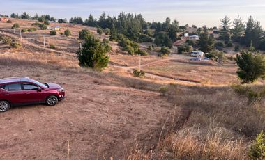 SE VENDE PARCELA DE SECTOR TOMECO, YUMBEL REGIÓN BIO-BIO