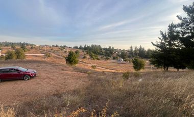 SE VENDE PARCELA DE SECTOR TOMECO, YUMBEL REGIÓN BIO-BIO