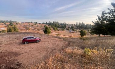 SE VENDE PARCELA DE SECTOR TOMECO, YUMBEL REGIÓN BIO-BIO