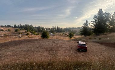 SE VENDE PARCELA DE SECTOR TOMECO, YUMBEL REGIÓN BIO-BIO