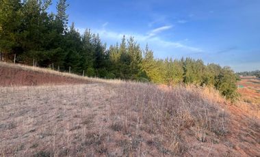 SE VENDE PARCELA DE SECTOR TOMECO, YUMBEL REGIÓN BIO-BIO