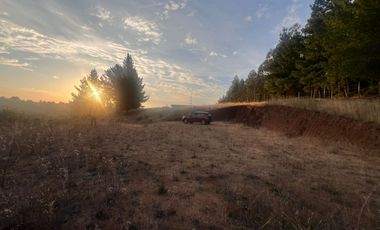 SE VENDE PARCELA DE SECTOR TOMECO, YUMBEL REGIÓN BIO-BIO