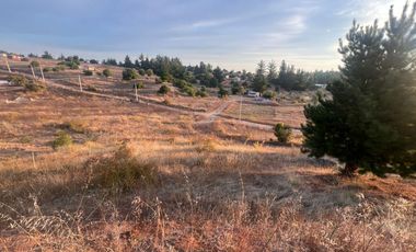 SE VENDE PARCELA DE SECTOR TOMECO, YUMBEL REGIÓN BIO-BIO