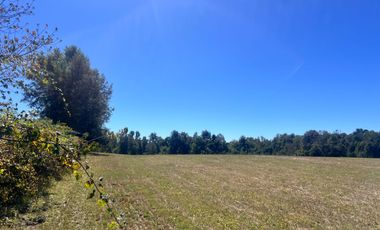 Oportunidad Parcelas Huiscapi Venta En Verde