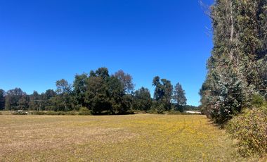 Oportunidad Parcelas Huiscapi Venta En Verde