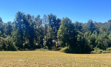 Oportunidad Parcelas Huiscapi Venta En Verde