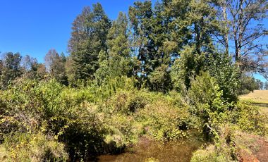 Oportunidad Parcelas Huiscapi Venta En Verde