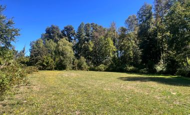 Oportunidad Parcelas Huiscapi Venta En Verde