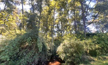 Oportunidad Parcelas Huiscapi Venta En Verde