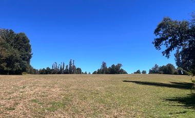 Oportunidad Parcelas Huiscapi Venta En Verde