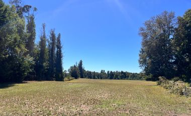 Oportunidad Parcelas Huiscapi Venta En Verde